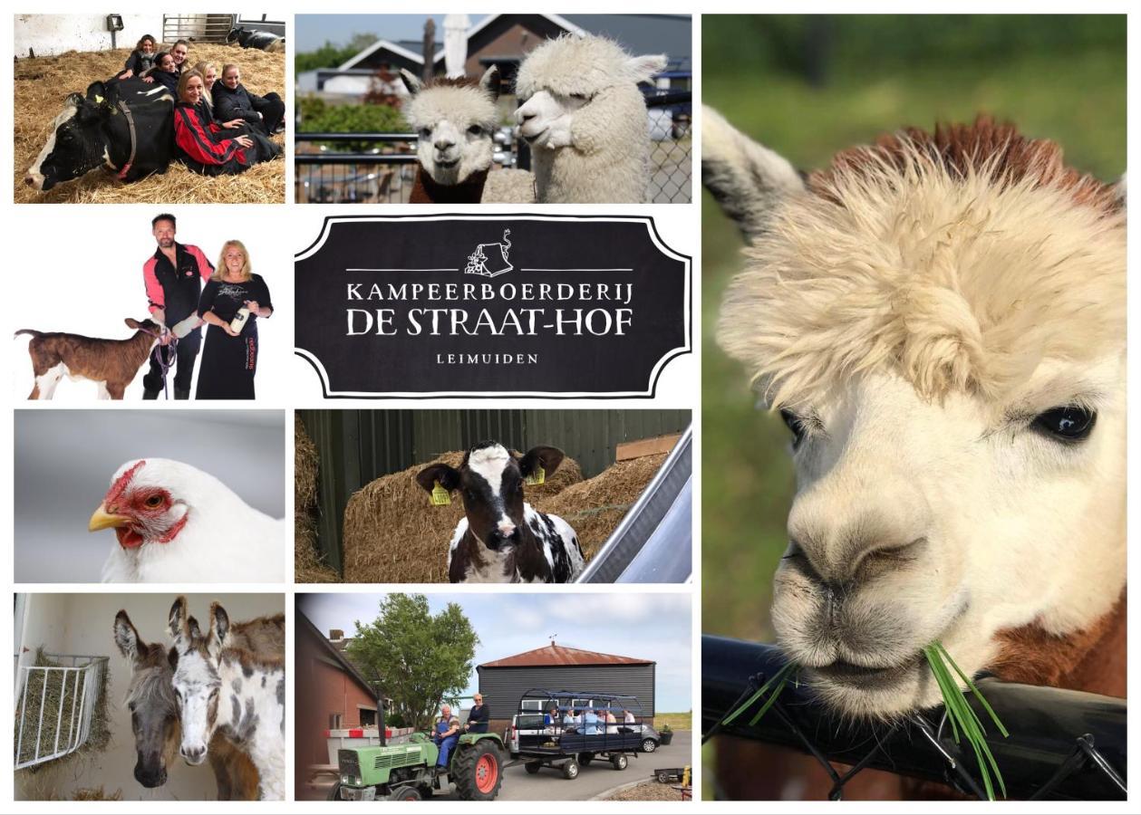Herberg Boerderij De Straat-Hof Bed and Breakfast Leimuiden Exteriör bild