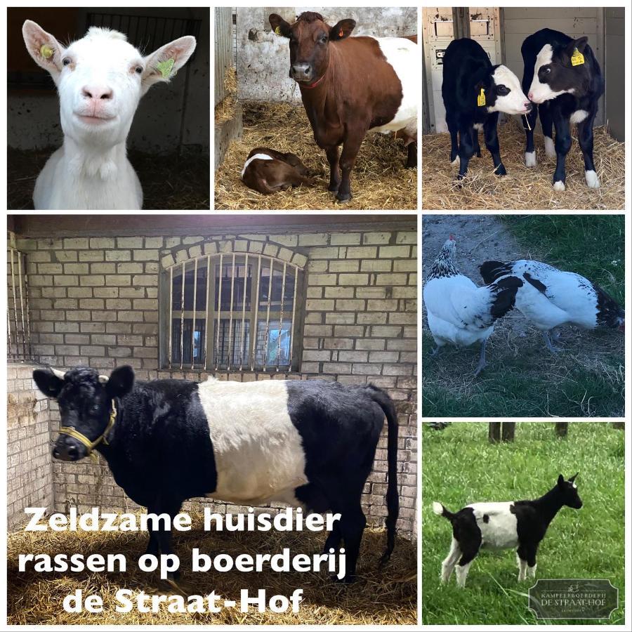 Herberg Boerderij De Straat-Hof Bed and Breakfast Leimuiden Exteriör bild